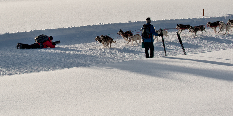 Fotografen in Action 019